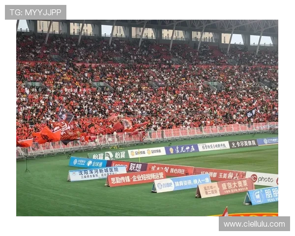 辽宁铁人向各地体育机构及俱乐部致谢共促中国足球事业发展 辽宁铁人向各地体育机构及俱乐部致谢共促中国足球事业发展